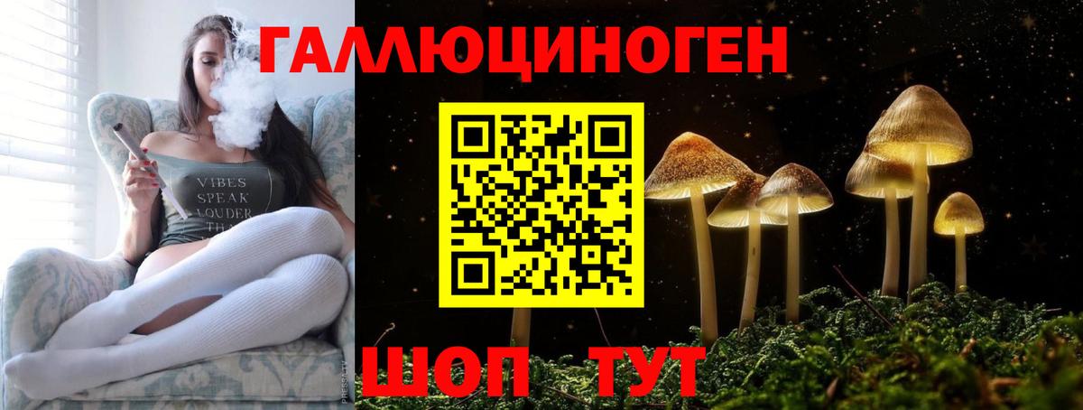 Галлюциногенные грибы Psilocybine cubensis Крымск